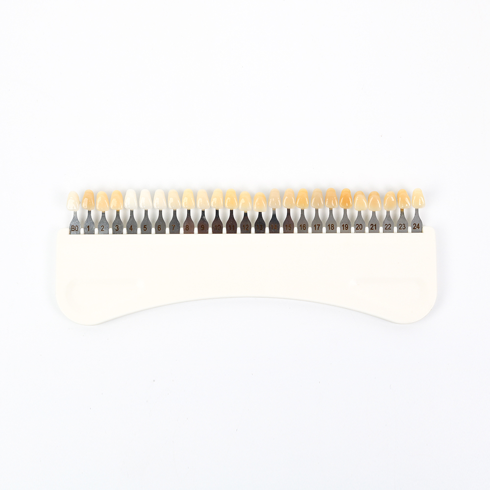 3D歯のホワイトニングシェードガイド 25色 磁器歯の漂白チ - Teeth Whitening Free のレビューと価格