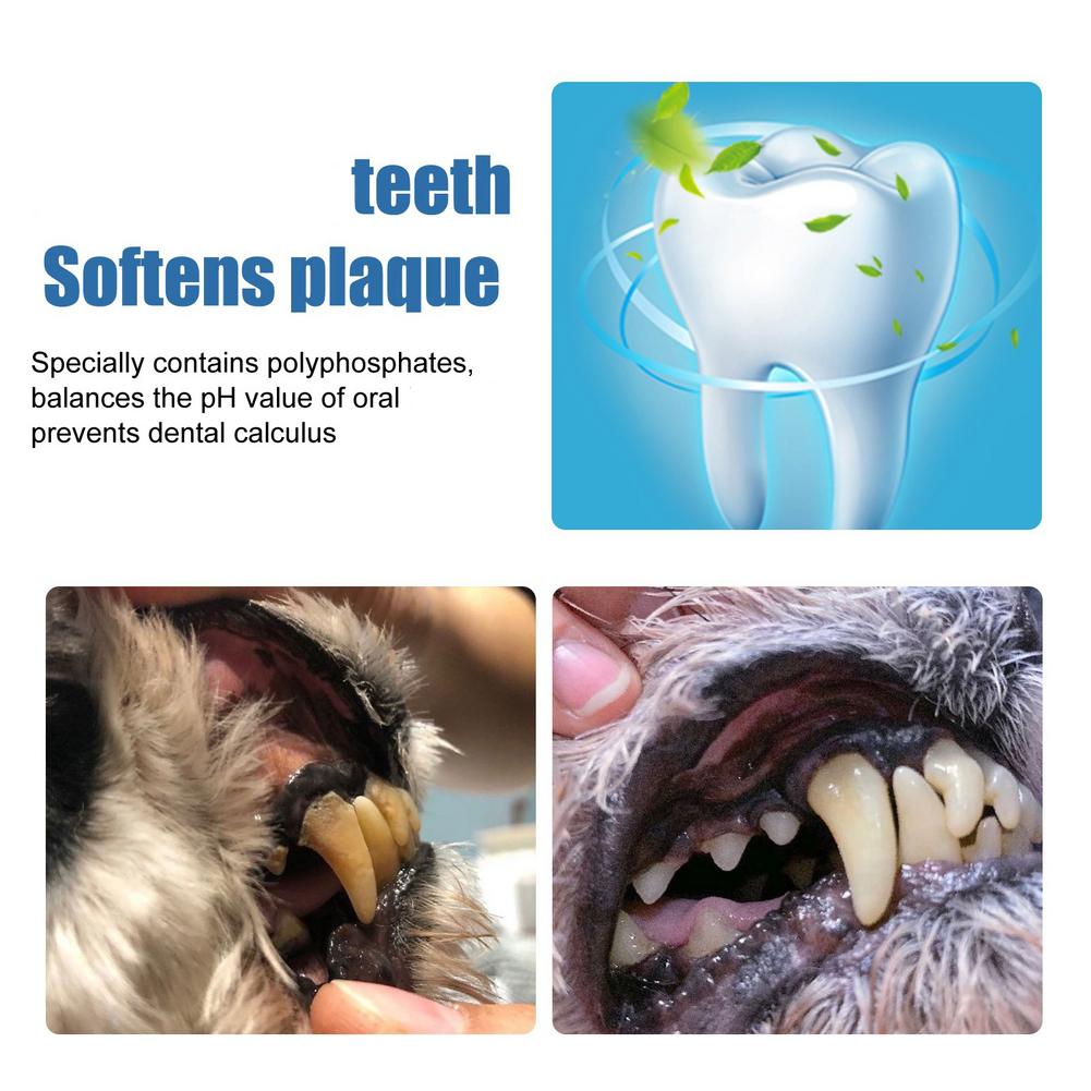 ペット用歯石除去剤 犬猫用歯のクリーニング 歯石 黄ばみ 口 - Teeth Whitening Foam のレビューと価格